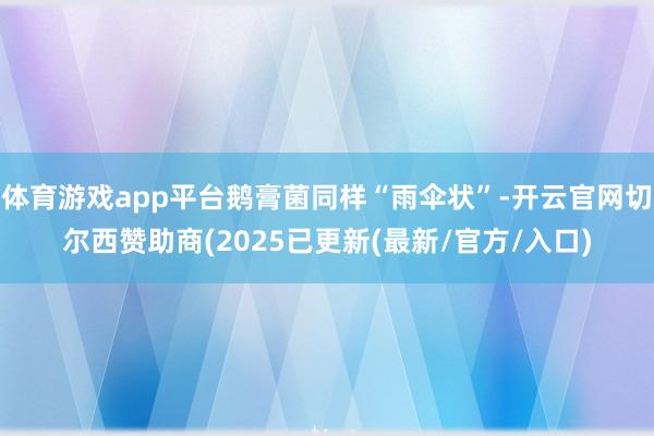 体育游戏app平台鹅膏菌同样“雨伞状”-开云官网切尔西赞助商(2025已更新(最新/官方/入口)