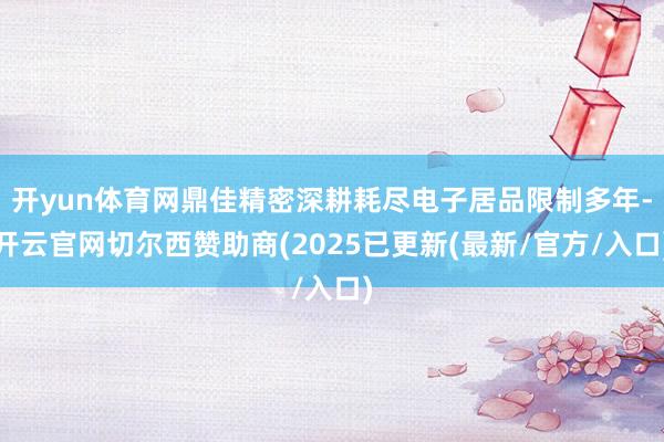 开yun体育网鼎佳精密深耕耗尽电子居品限制多年-开云官网切尔西赞助商(2025已更新(最新/官方/入口)